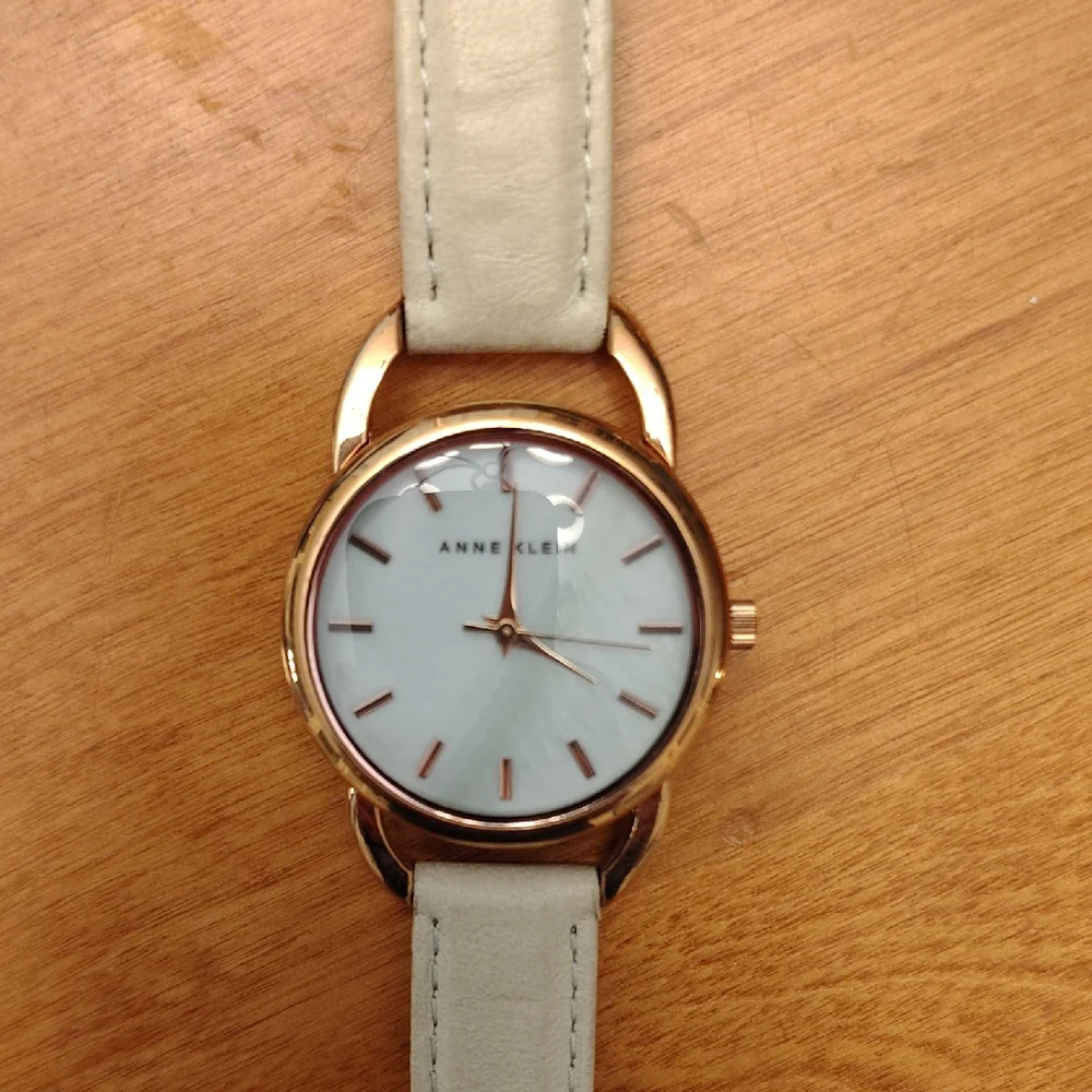 Anne Klein Gold Case with pale mint green Strap
